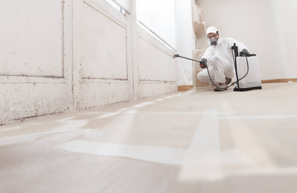 24/7 Emergency Attic Mold Remediation experts in Plant City, FL